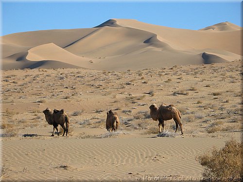 transorientale_reco_2007_0007.jpg