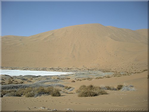 transorientale_reco_2007_0042.jpg