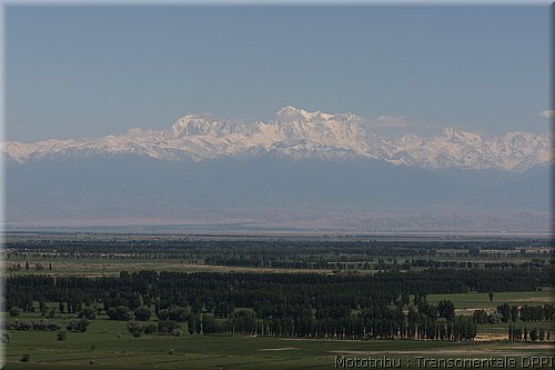 transorientale2008_27.jpg