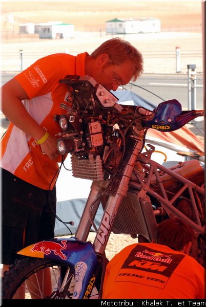 paddock_5