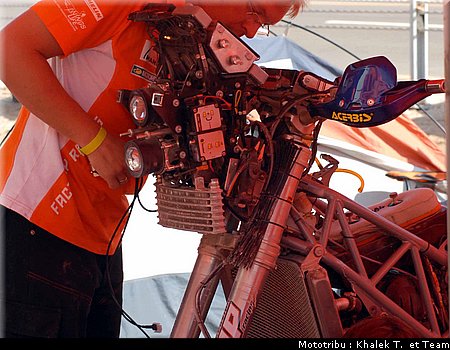 paddock_5.jpg
