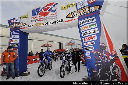 paddock_03.jpg