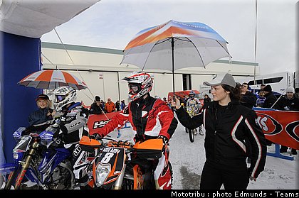 paddock_06.jpg