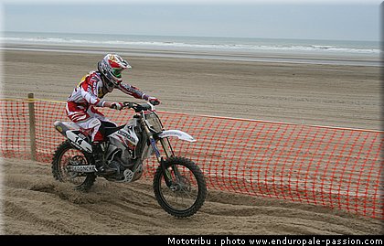 0109_morel_1.jpg