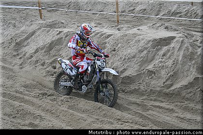 0112_morel_4.jpg