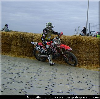 0124_pichon_4.jpg