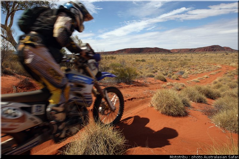 australasian_safari_2009_005