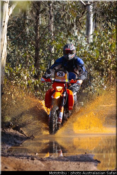 smith_australasian_safari2009