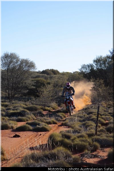 todd_smith_australasian_safari2009