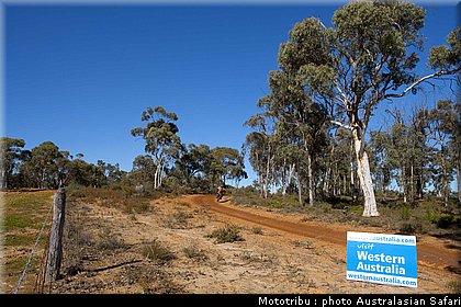 australasian_safari_2009_007.jpg
