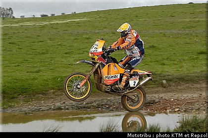 marc_coma2006_3.jpg