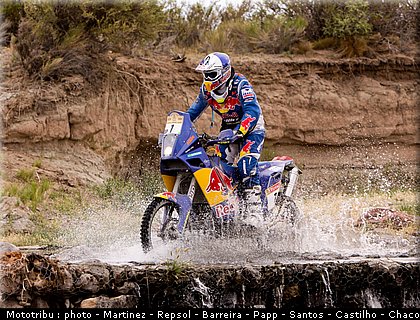 003_despres_dakar2009.jpg