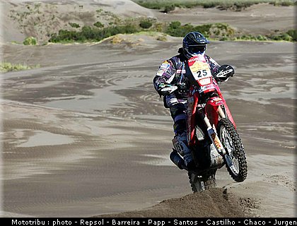 006_zehzlio_7.JPG