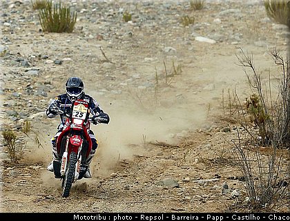 008_zehzlio_5.JPG
