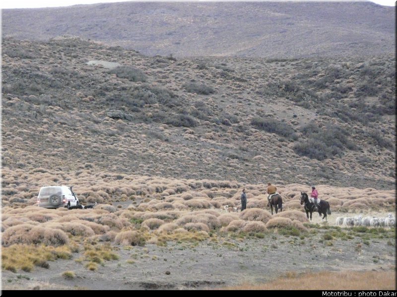 003_puertomadryn_jacobacci_5