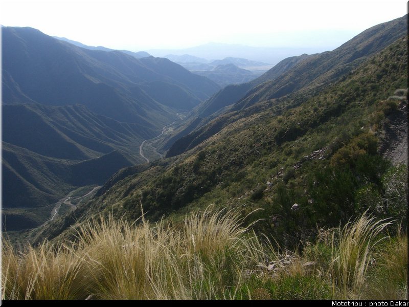 argentine_1