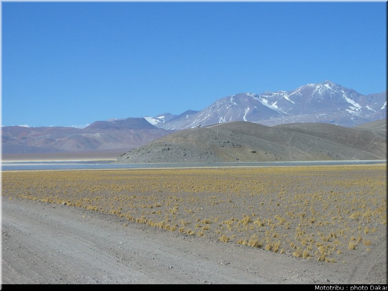 argentine_2