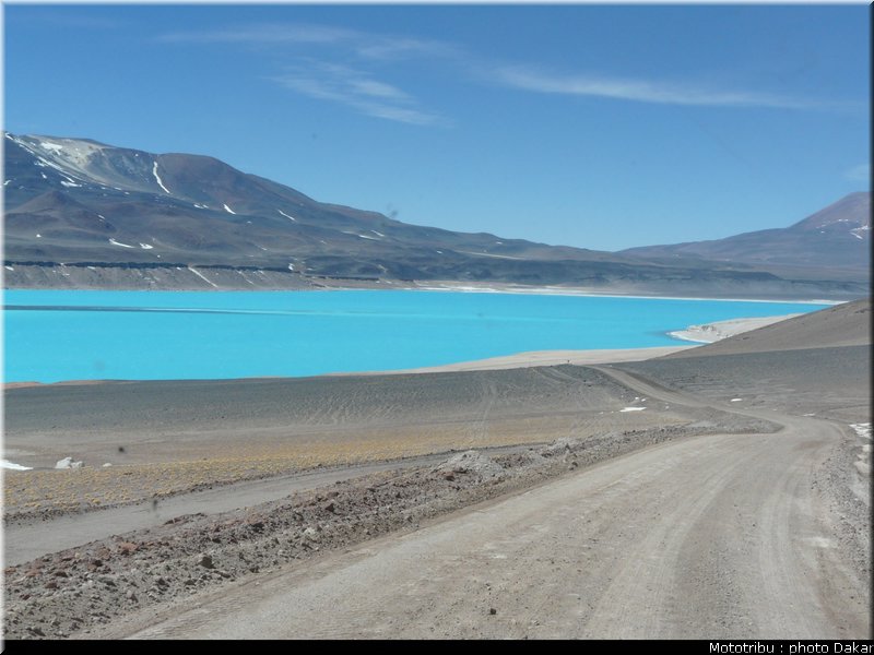 argentine_5