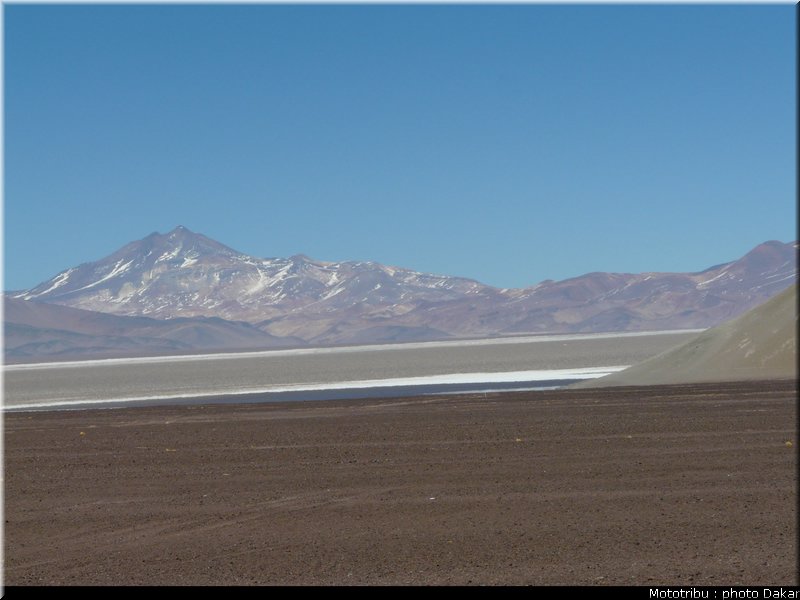 argentine_6