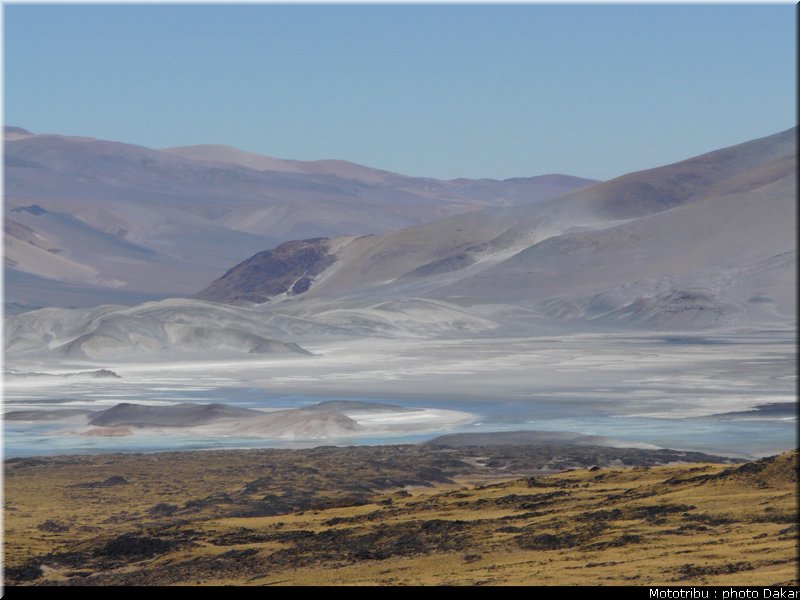 argentine_8