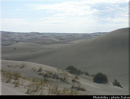 006_sanrafael_mendoza_6.jpg