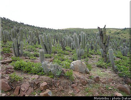008_valparaiso_laserena_5.jpg