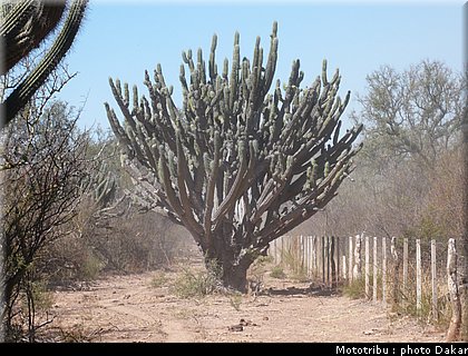 013_larioja_cordoba_1.jpg