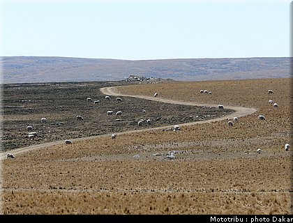 013_larioja_cordoba_10.jpg