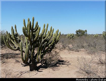 013_larioja_cordoba_12.jpg