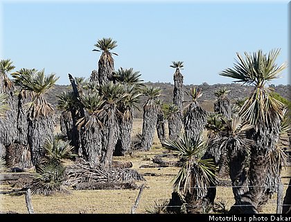 013_larioja_cordoba_3.JPG