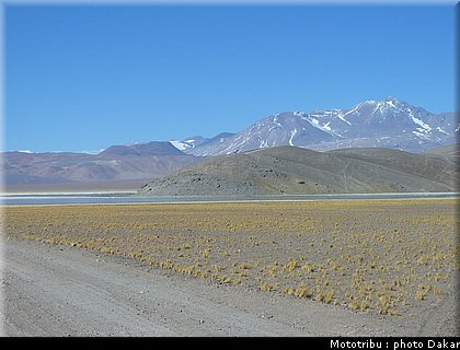 argentine_2.jpg