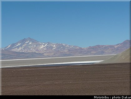 argentine_6.JPG