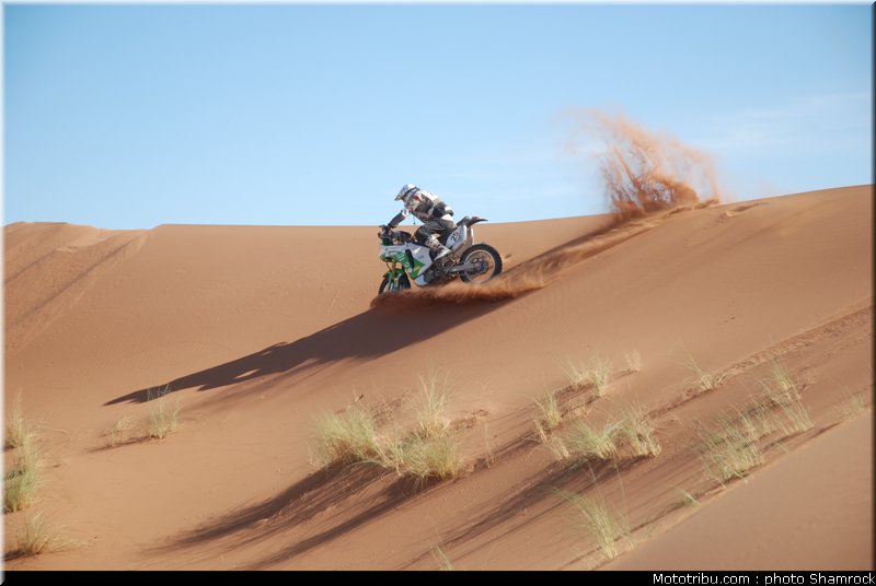 detang_3_shamrock_2009_019