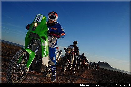 arredondo_shamrock_2009_002.JPG
