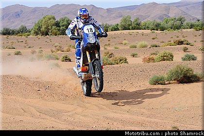 butuza_shamrock_2009_004.JPG