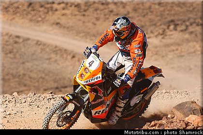 coma_4_shamrock_2009_009.JPG