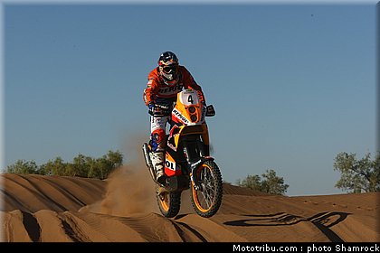coma_5_shamrock_2009_010.JPG