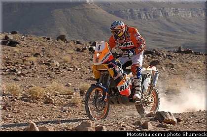 coma_6_shamrock_2009_011.JPG