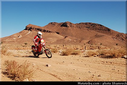 dacosta_shamrock_2009_012.JPG