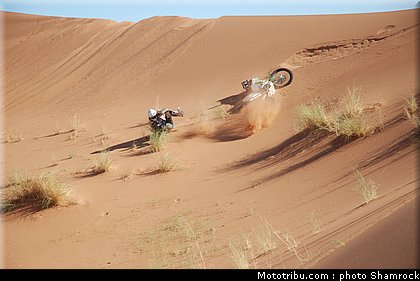 detang_1_shamrock_2009_017.JPG