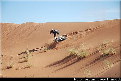 detang_2_shamrock_2009_018.JPG