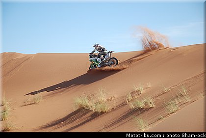 detang_3_shamrock_2009_019.JPG
