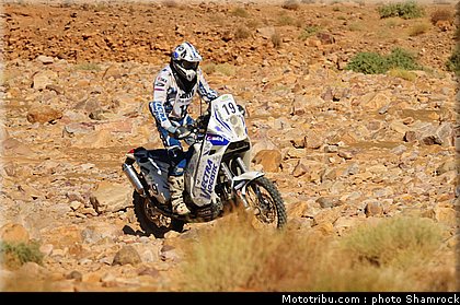 gyenes_1_shamrock_2009_022.JPG