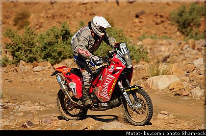 hamard_shamrock_2009_024.JPG