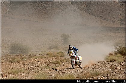 pain2_shamrock_2009_029.JPG