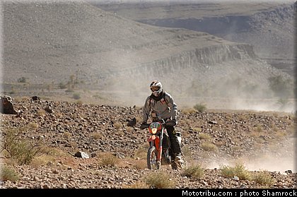 shamrock_2009_1.JPG