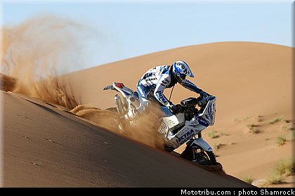 shamrock_2009_2.JPG