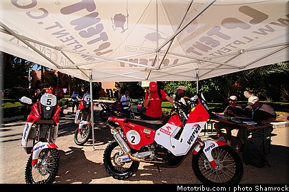 shamrock_2009_3.JPG
