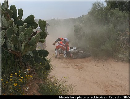 ambiance_09.jpg