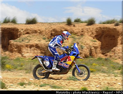 despres_011.jpg